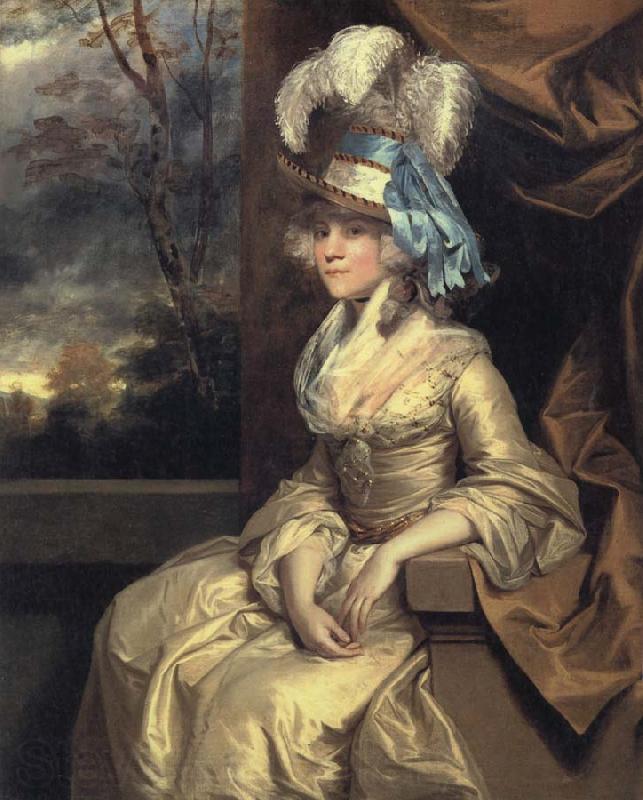 Sir Joshua Reynolds Elizabeth Lady Taylor Spain oil painting art